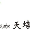 天培文化