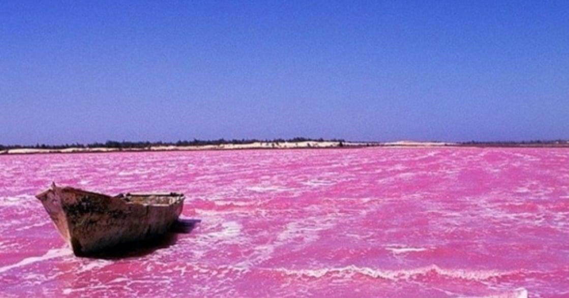 給玫瑰色的你！全世界最美的五大粉紅湖