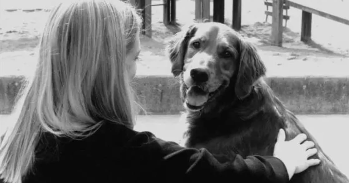 我養的狗救了抑鬱的我：牠給了我無聲的理解
