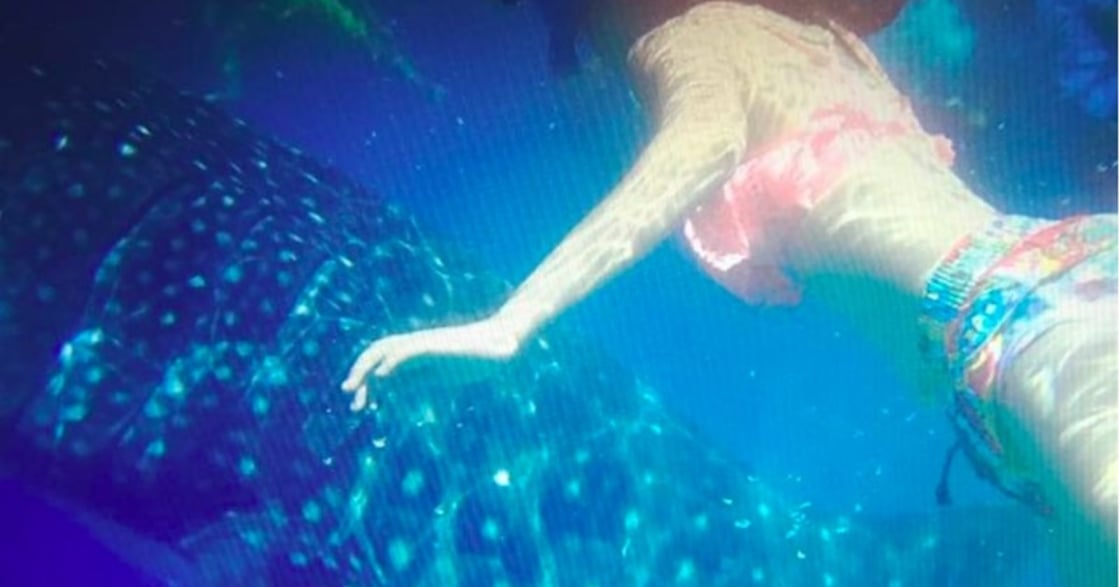 100天生活冒險｜水肺潛水：愛讓人挑戰自己，練習勇敢