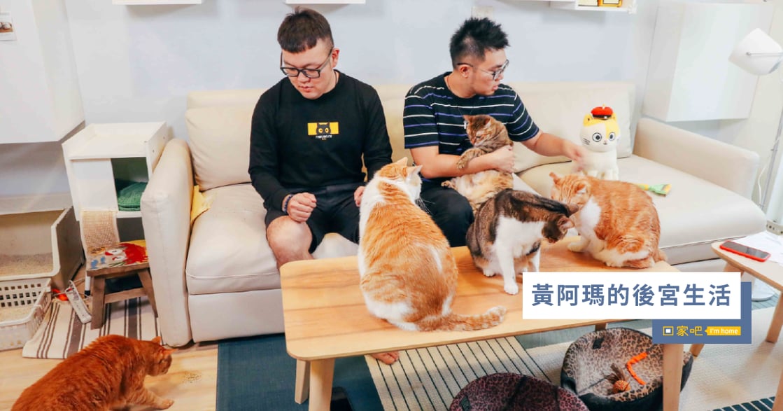 兩個男人七隻貓！專訪黃阿瑪的後宮生活：在這個家，一起變老好不好？