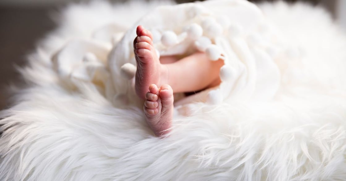 性別快訊｜公投提案「人工流產需於妊娠 8 週內施行」 ，將進行聽證