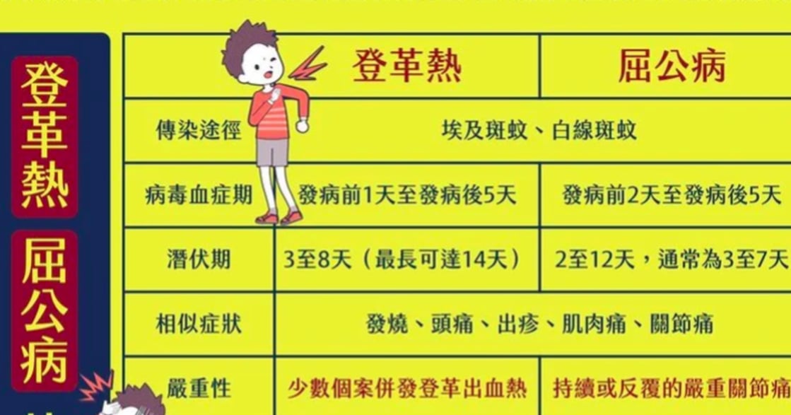 台灣第一次出現「屈公病」：與登革熱有什麼不同？要如何預防？