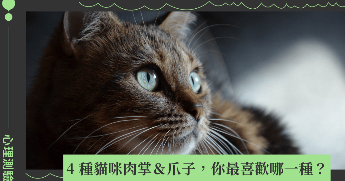 心理測驗｜日本貓爪測驗，看穿你的人際關係弱點：善惡分明或怕孤單？