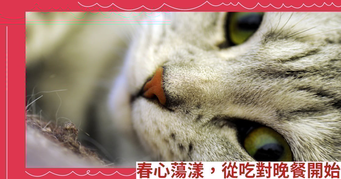 春心蕩漾，從吃對晚餐開始