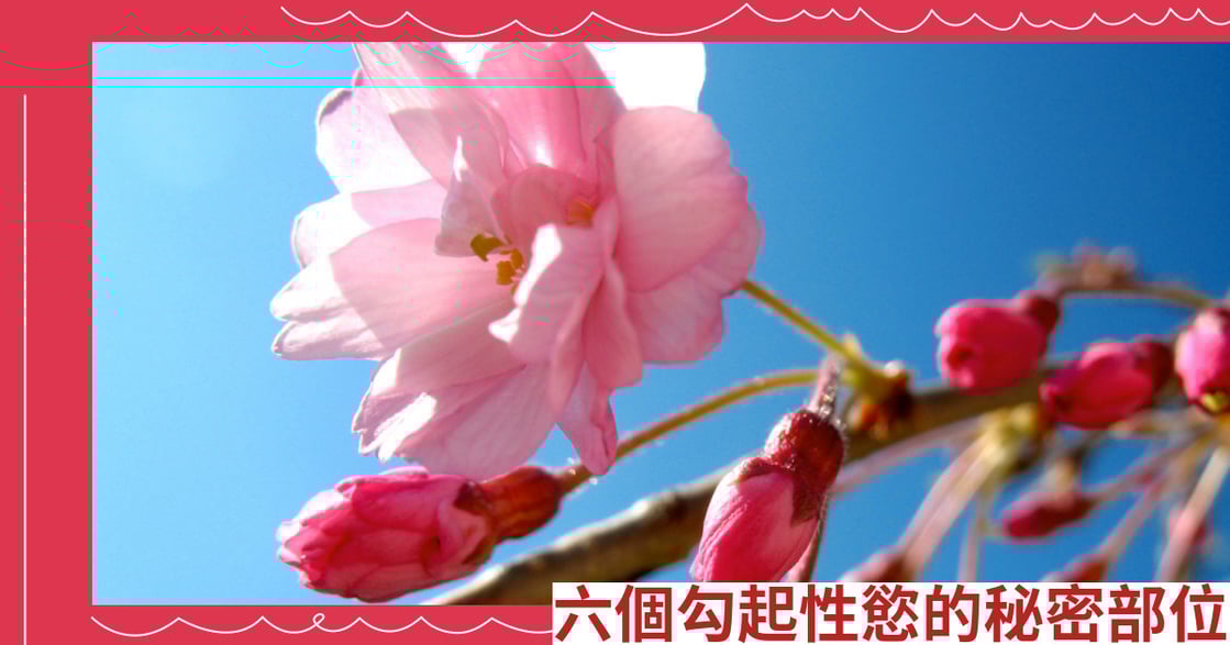 六個勾起性慾的秘密部位