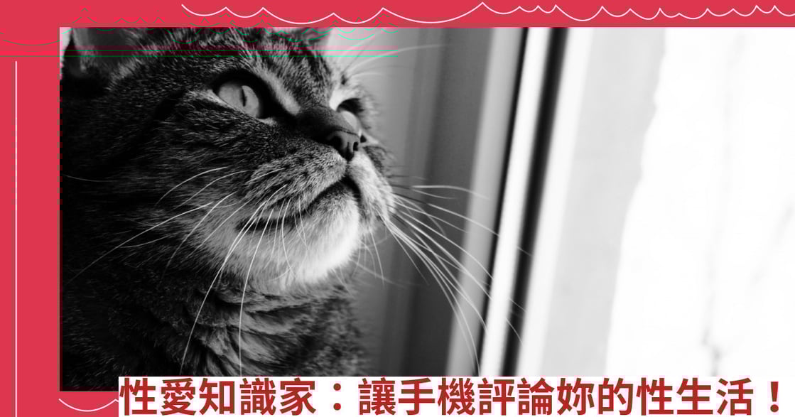 性愛知識家：讓手機評論妳的性生活！