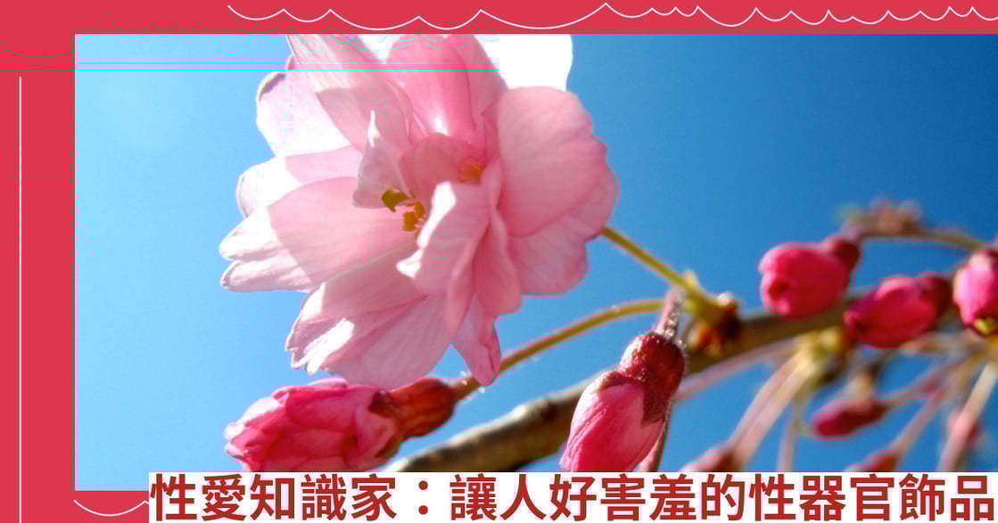 性愛知識家：讓人好害羞的性器官飾品