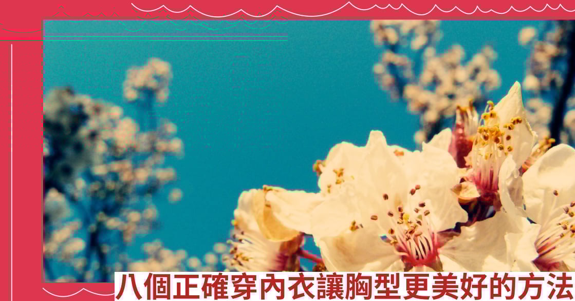 八個正確穿內衣讓胸型更美好的方法