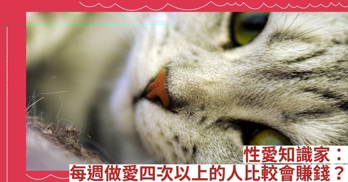 性愛知識家：每週做愛四次以上的人比較會賺錢？