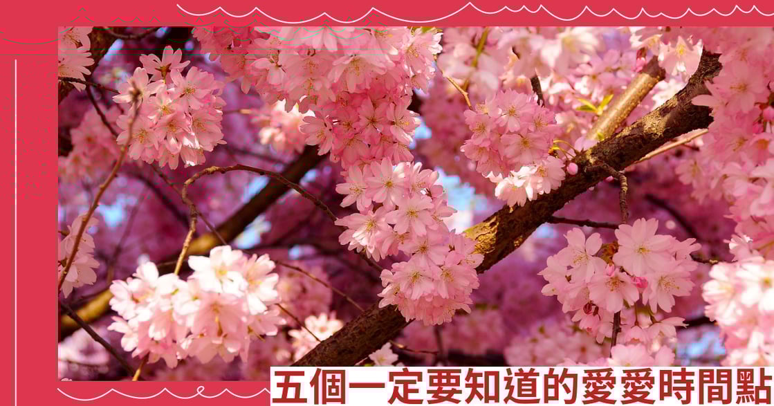 五個一定要知道的愛愛時間點