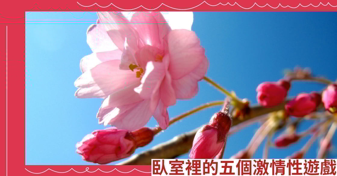 臥室裡的五個激情性遊戲