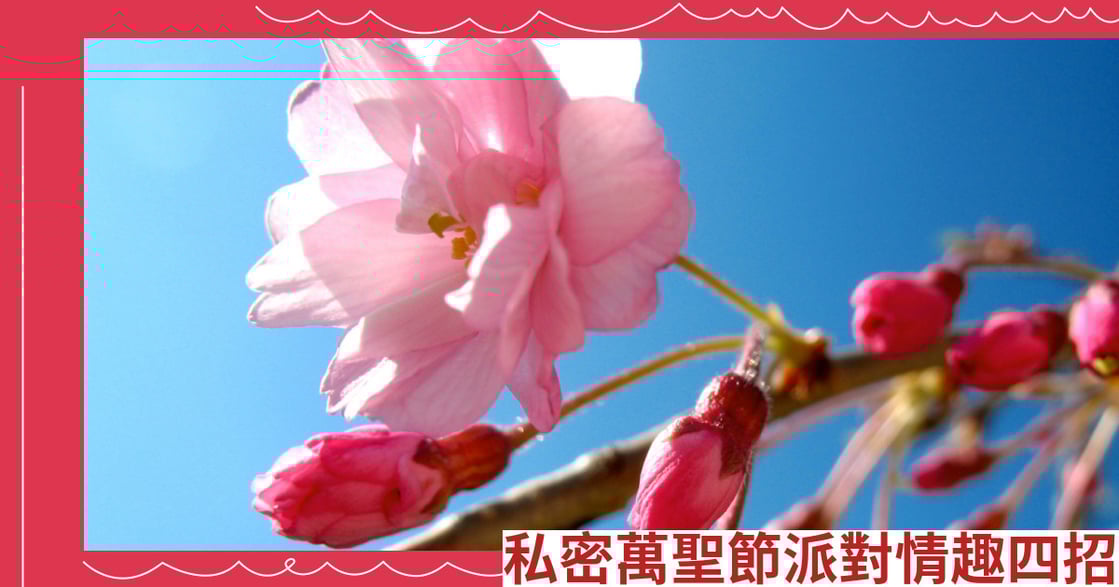 私密萬聖節派對情趣四招