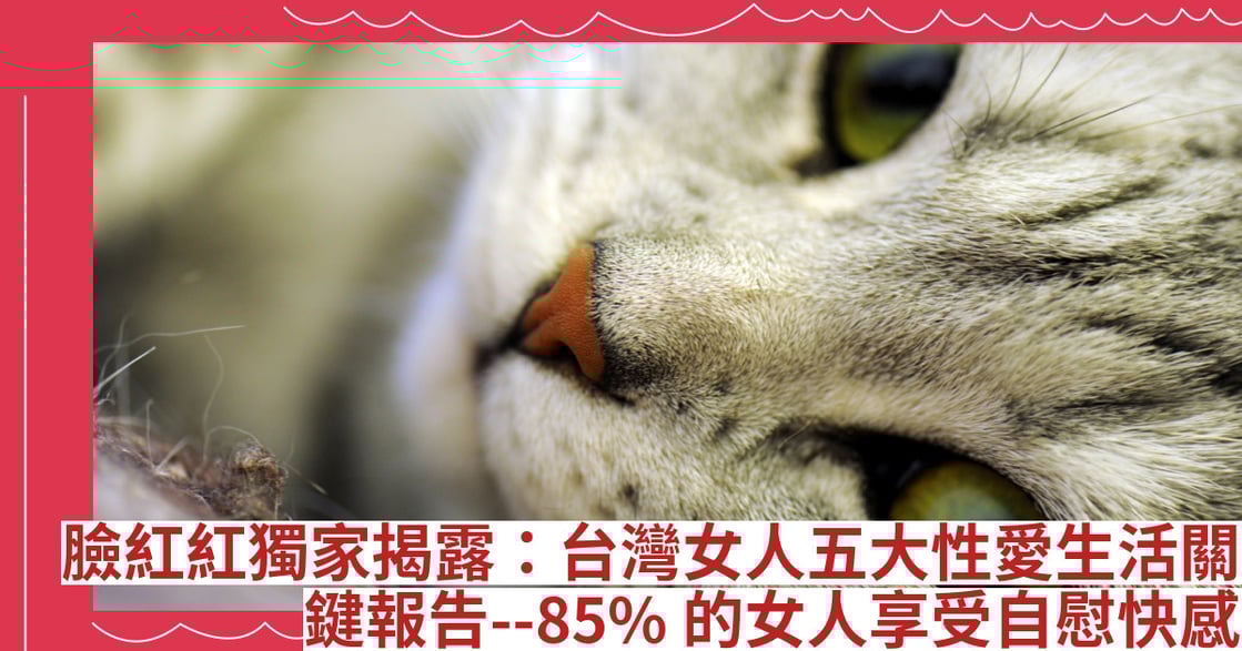 臉紅紅獨家揭露：台灣女人五大性愛生活關鍵報告--85%的女人享受自慰快感