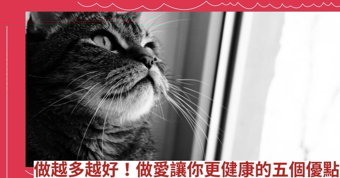 做越多越好！做愛讓你更健康的五個優點