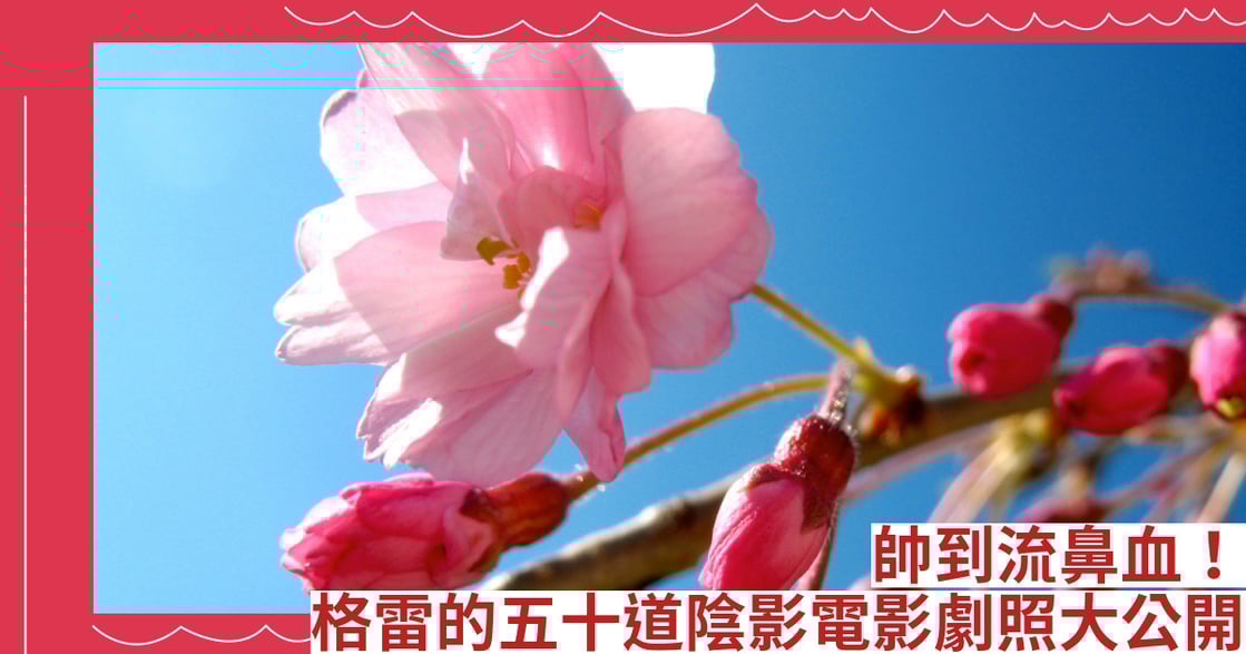 帥到流鼻血！格雷的五十道陰影電影劇照大公開