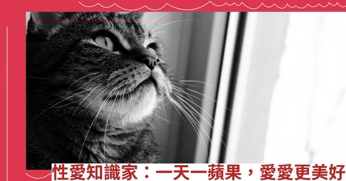 性愛知識家：一天一蘋果，愛愛更美好