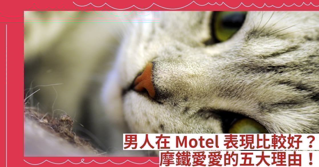 男人在 Motel 表現比較好？摩鐵愛愛的五大理由！