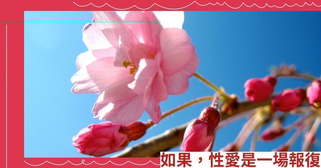 如果，性愛是一場報復