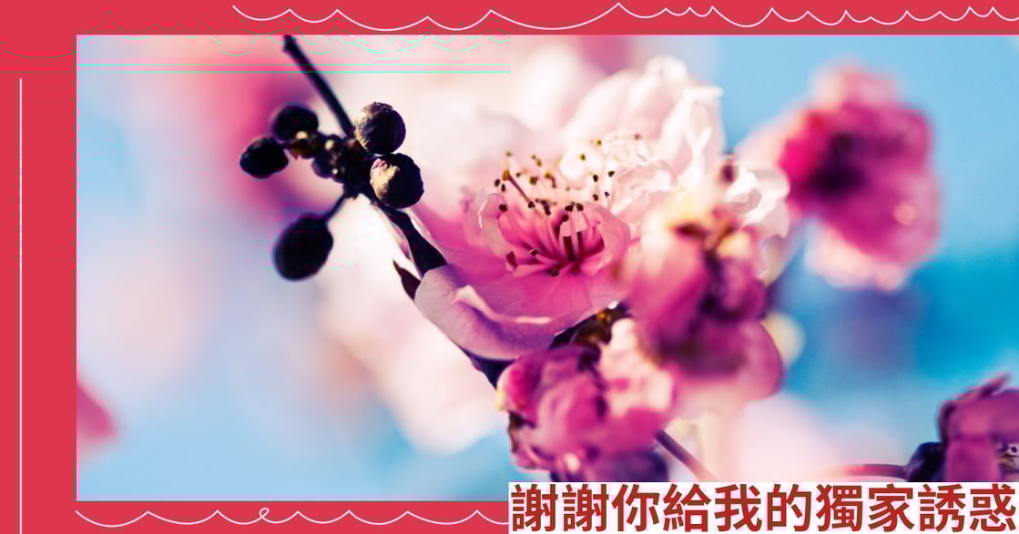 謝謝你給我的獨家誘惑