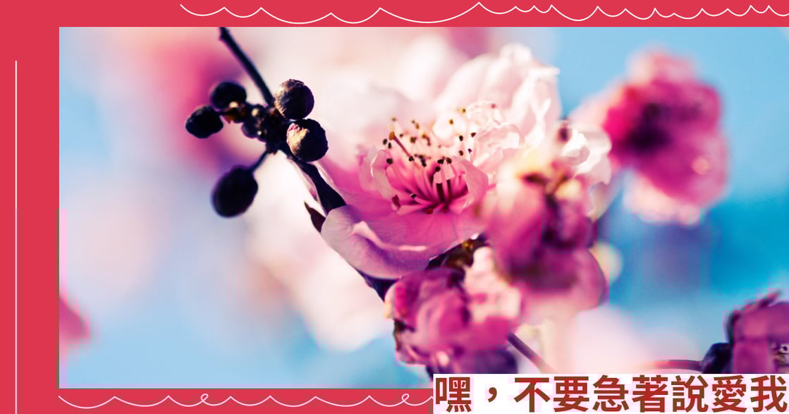 嘿，不要急著說愛我