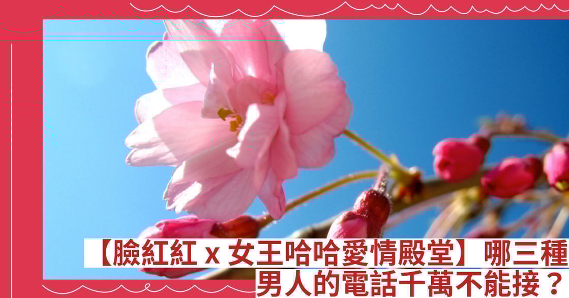 【臉紅紅 x 女王哈哈愛情殿堂】哪三種男人的電話千萬不能接？