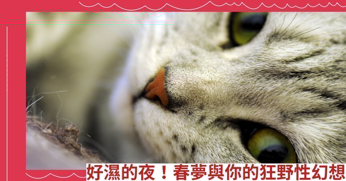 好濕的夜！春夢與你的狂野性幻想