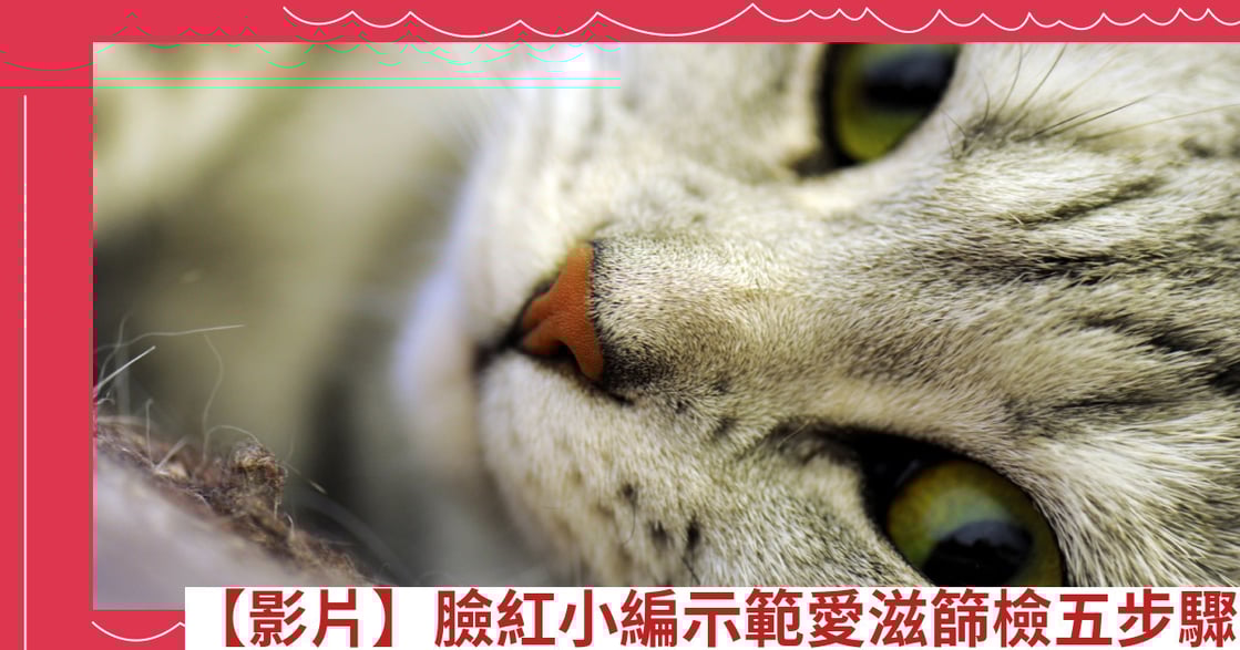 【影片】臉紅小編示範愛滋篩檢五步驟
