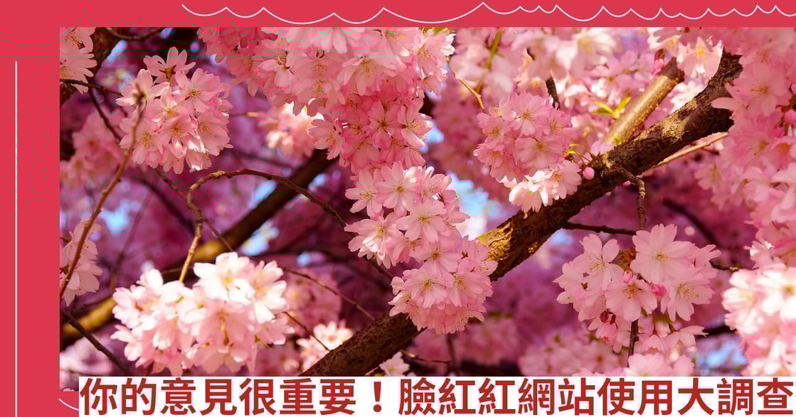 你的意見很重要！臉紅紅網站使用大調查