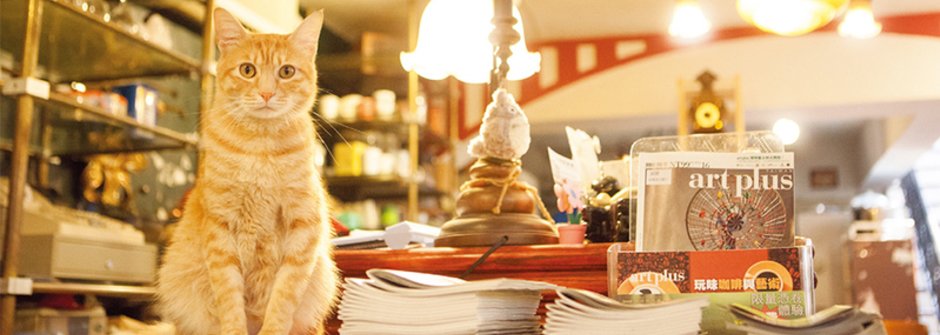 【年末出遊選】喵嗚，去咖啡廳找貓咪玩