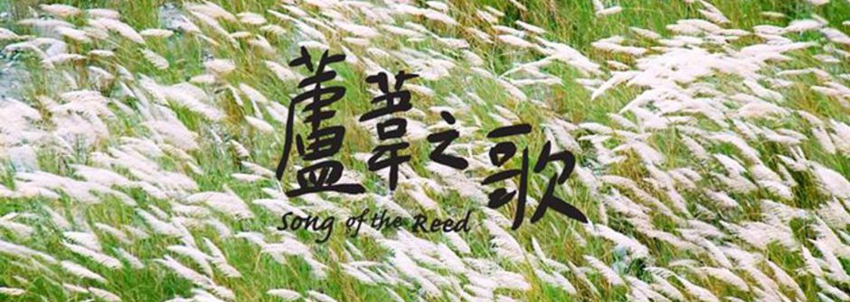 跳脫悲傷的代名詞：《蘆葦之歌》台灣慰安婦阿嬤的溫柔強韌