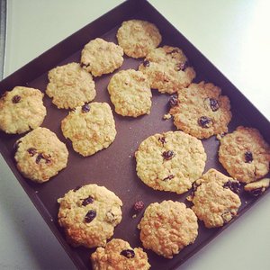 葡萄乾燕麥餅乾