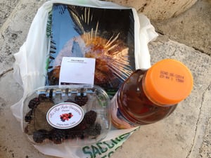 踏出舒適圈，原來世界這麼遼闊。