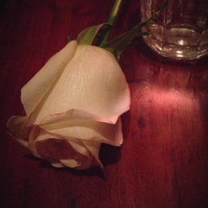 Never fall out of love