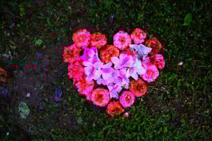 「希望這世界，能夠因為我能多幸福一點點。」