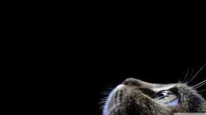 不再被環境限制,生在台灣也要實現