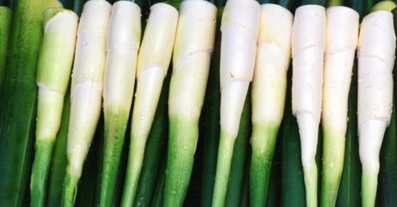 為什麼茭白筍要叫「美人腿」？命名是一種象徵權力的使用