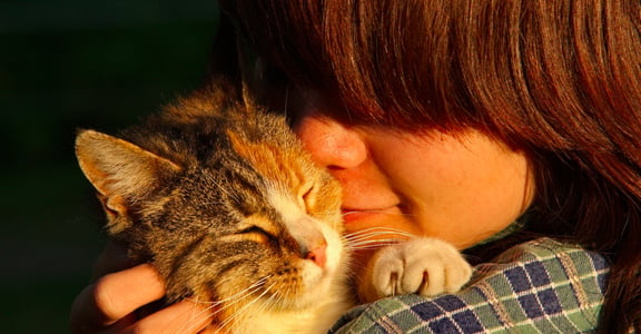 「受傷的日子裡，就大口吸貓吧」寵物心理學：為什麼吸貓這麼療癒人心？