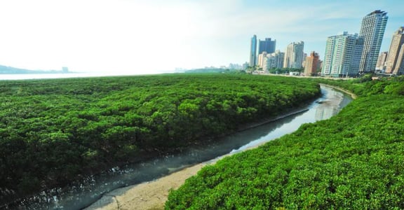 台北市沒天然綠地？在地人推薦的七大戶外景點公開！
