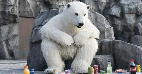 「樹懶太慢了好難演！」《超「人」氣動物園》：請工讀生扮動物太難，還不如買一隻