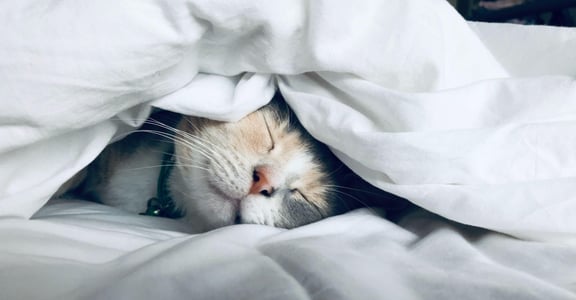 常常在休息後，還是覺得累嗎？給高敏感人的大腦休息法：你可以嘗試「睡前儀式」