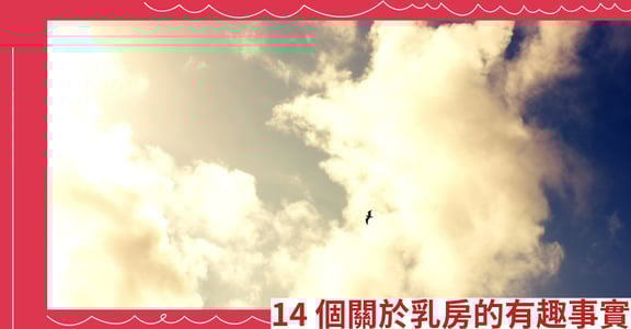 14個關於乳房的有趣事實