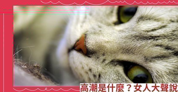 高潮是什麼？女人大聲說