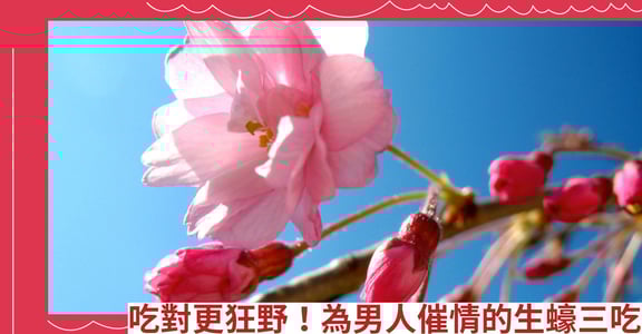 吃對更狂野！為男人催情的生蠔三吃