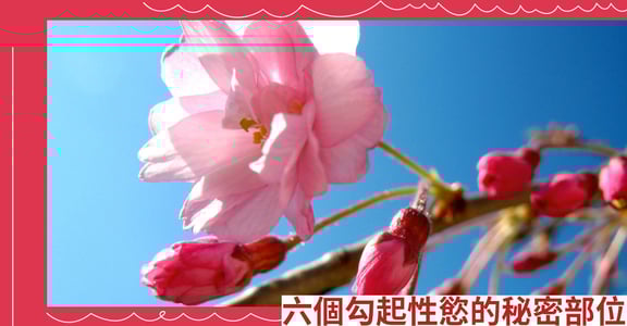 六個勾起性慾的秘密部位