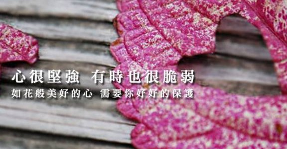 迷人週報：別怪誰花心