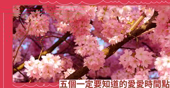 五個一定要知道的愛愛時間點