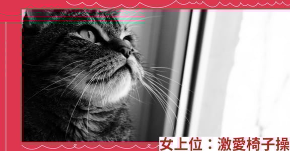 女上位：激愛椅子操