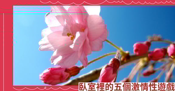 臥室裡的五個激情性遊戲