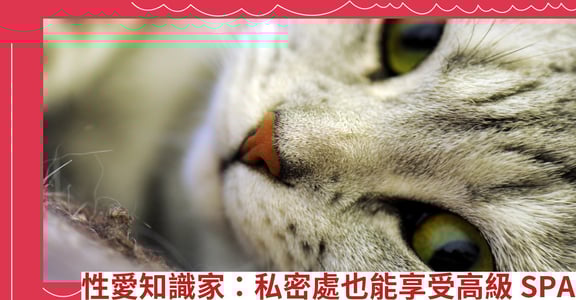 性愛知識家：私密處也能享受高級 SPA